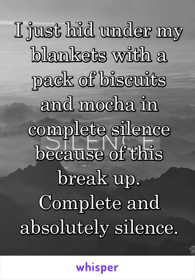 I just hid under my blankets with a pack of biscuits and mocha in complete silence because of this break up. Complete and absolutely silence.
