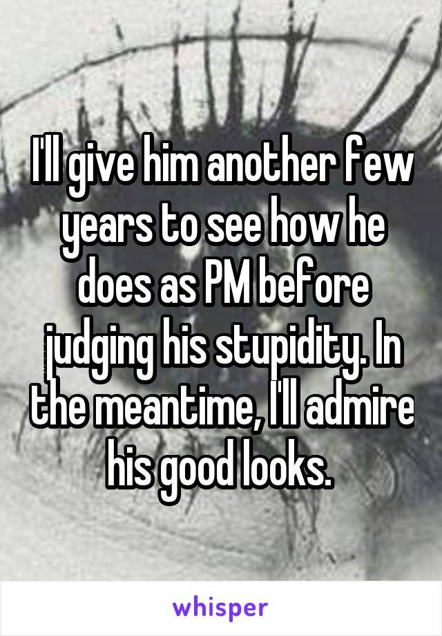 I'll give him another few years to see how he does as PM before judging his stupidity. In the meantime, I'll admire his good looks. 