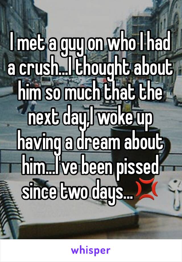 I met a guy on who I had a crush...I thought about him so much that the next day,I woke up having a dream about him...I've been pissed since two days...💢