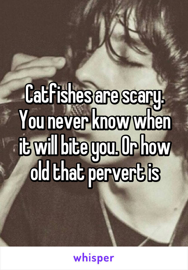 Catfishes are scary. You never know when it will bite you. Or how old that pervert is