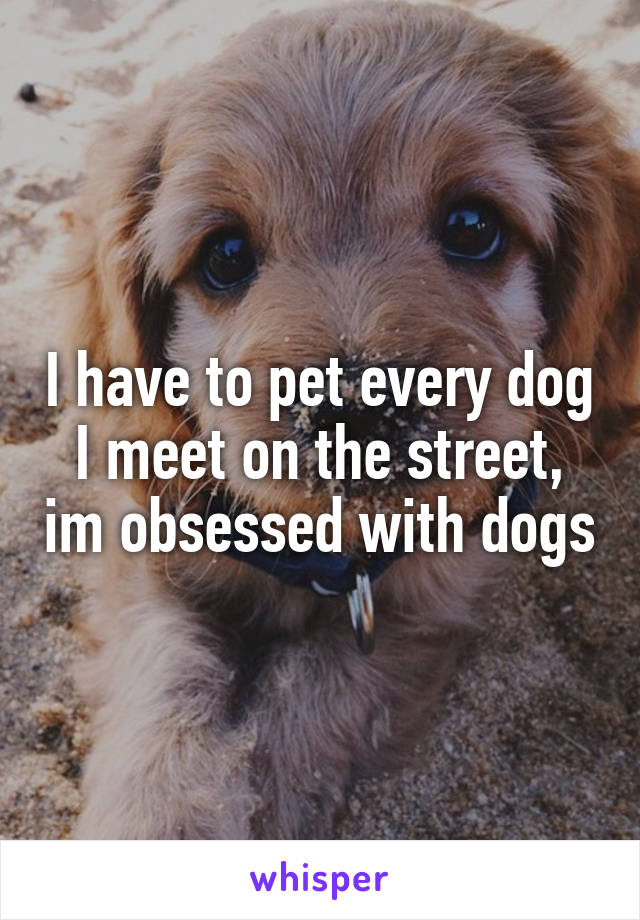 I have to pet every dog I meet on the street, im obsessed with dogs