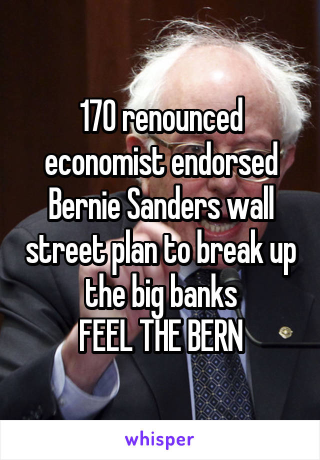 170 renounced economist endorsed Bernie Sanders wall street plan to break up the big banks
FEEL THE BERN