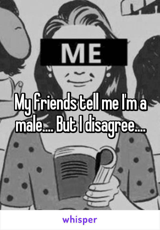 My friends tell me I'm a male.... But I disagree....