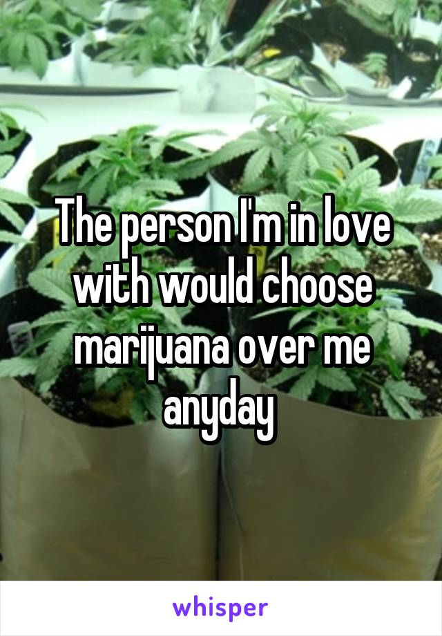 The person I'm in love with would choose marijuana over me anyday 