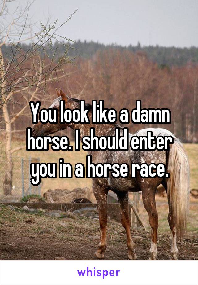 You look like a damn horse. I should enter you in a horse race.