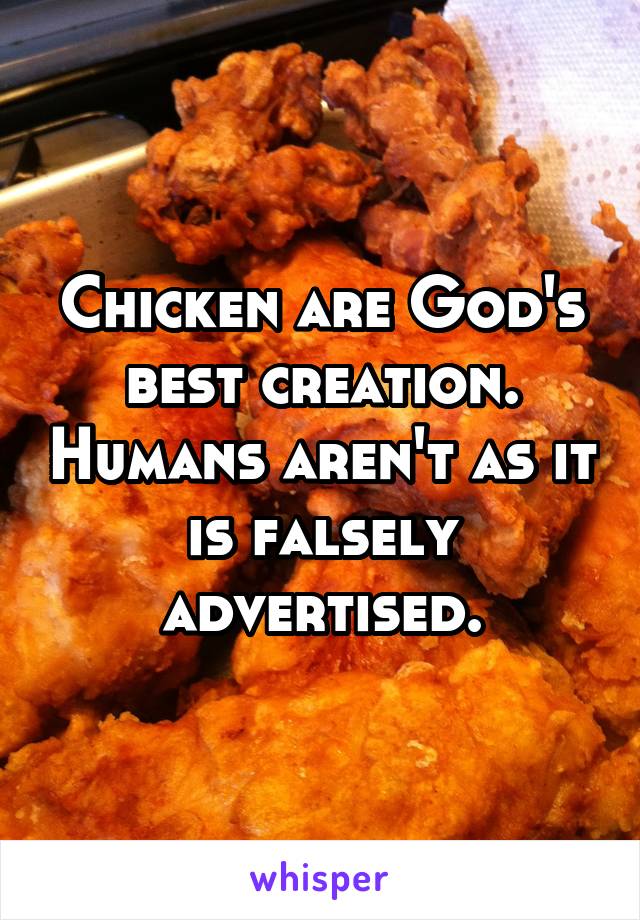 Chicken are God's best creation. Humans aren't as it is falsely advertised.