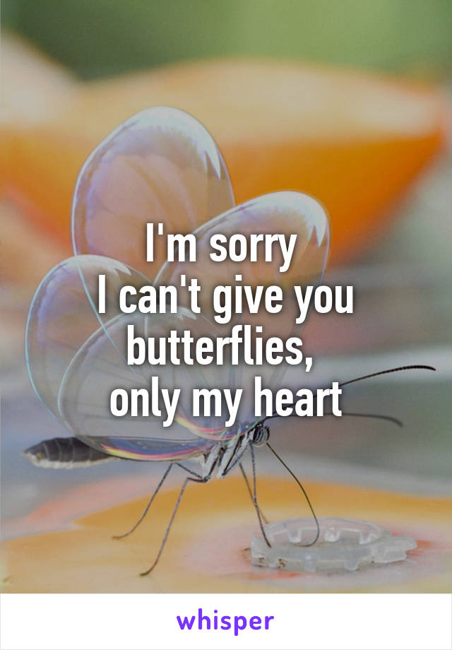 I'm sorry 
I can't give you butterflies, 
only my heart