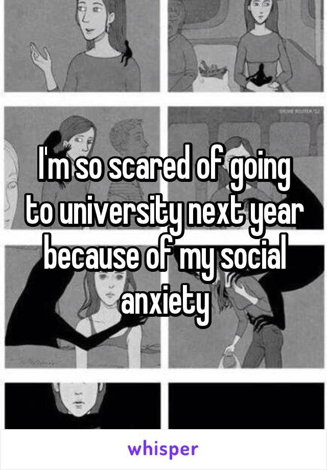 I'm so scared of going to university next year because of my social anxiety
