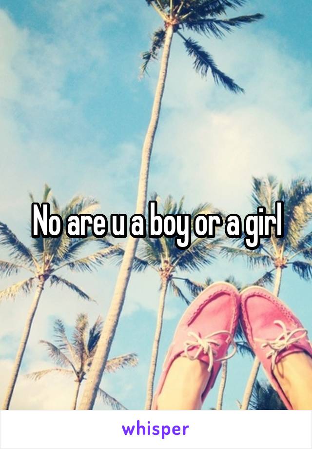 No are u a boy or a girl