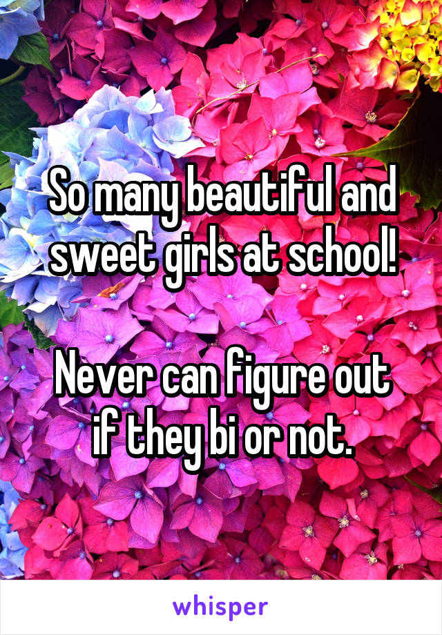 So many beautiful and sweet girls at school!

Never can figure out if they bi or not.