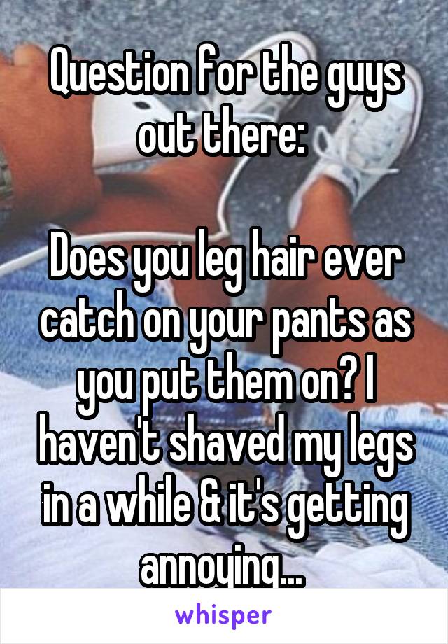 Question for the guys out there: 

Does you leg hair ever catch on your pants as you put them on? I haven't shaved my legs in a while & it's getting annoying... 