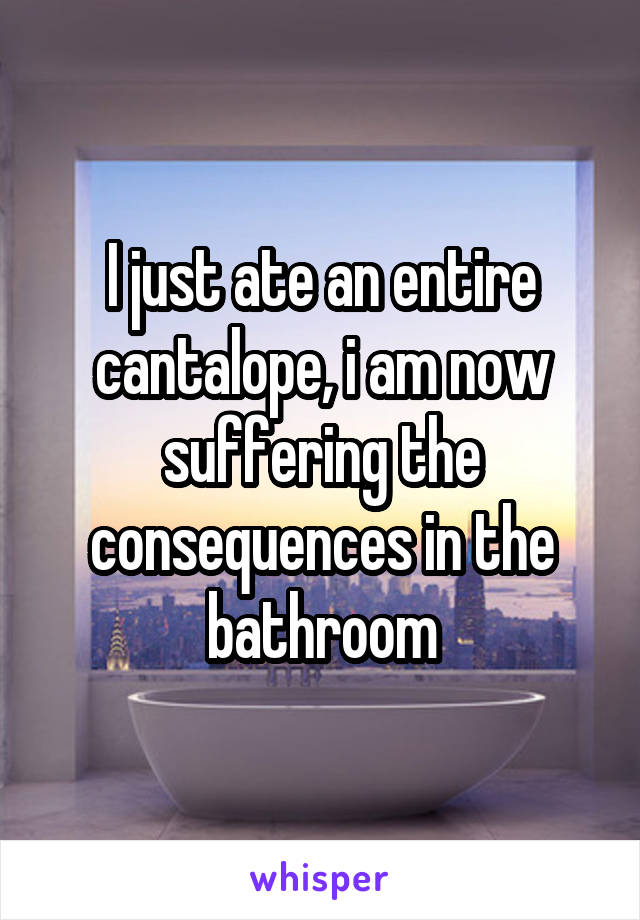 I just ate an entire cantalope, i am now suffering the consequences in the bathroom