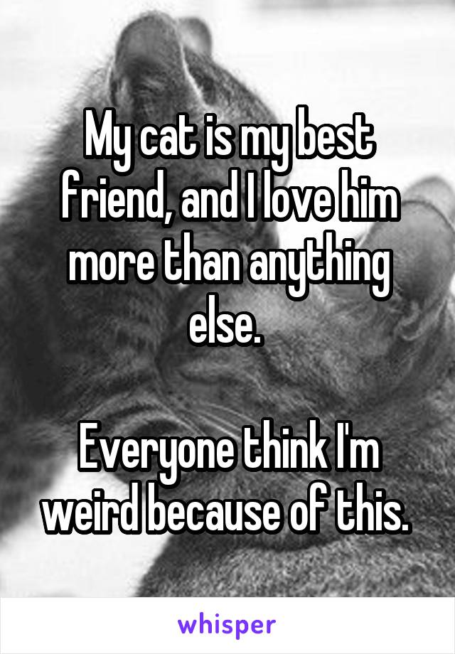 My cat is my best friend, and I love him more than anything else. 

Everyone think I'm weird because of this. 