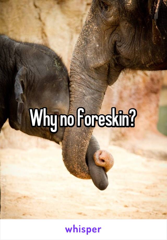 Why no foreskin? 