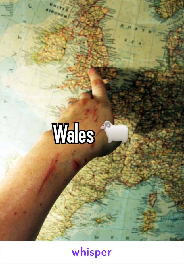Wales 🐑