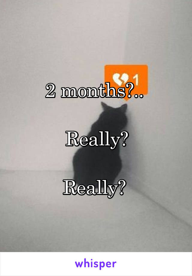 2 months?.. 

Really?

Really? 