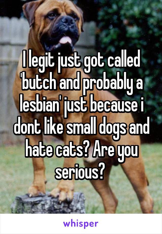 I legit just got called 'butch and probably a lesbian' just because i dont like small dogs and hate cats? Are you serious? 