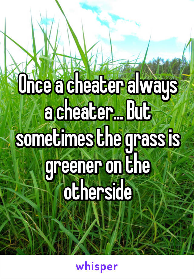 Once a cheater always a cheater... But sometimes the grass is greener on the otherside
