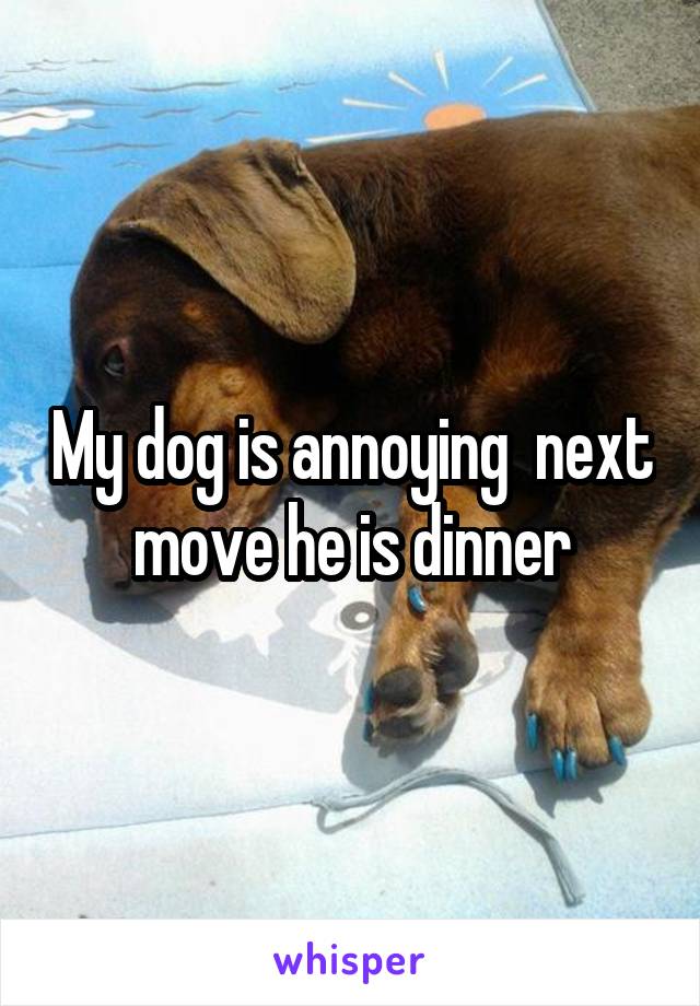 My dog is annoying  next move he is dinner