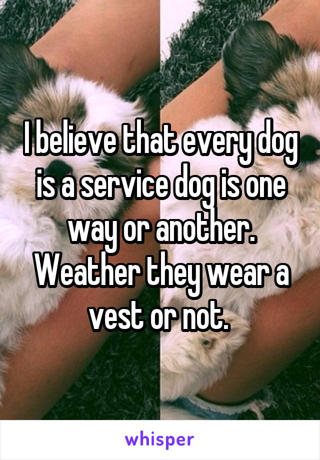 I believe that every dog is a service dog is one way or another. Weather they wear a vest or not. 