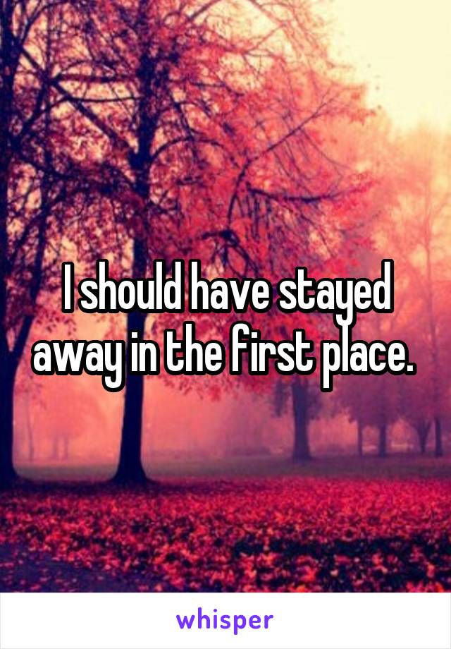 I should have stayed away in the first place. 