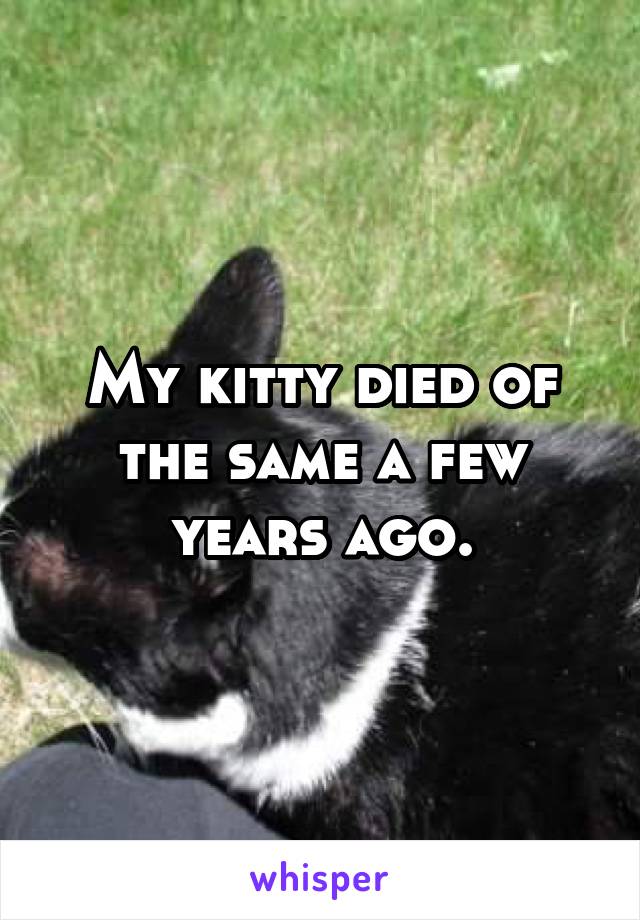 My kitty died of the same a few years ago.