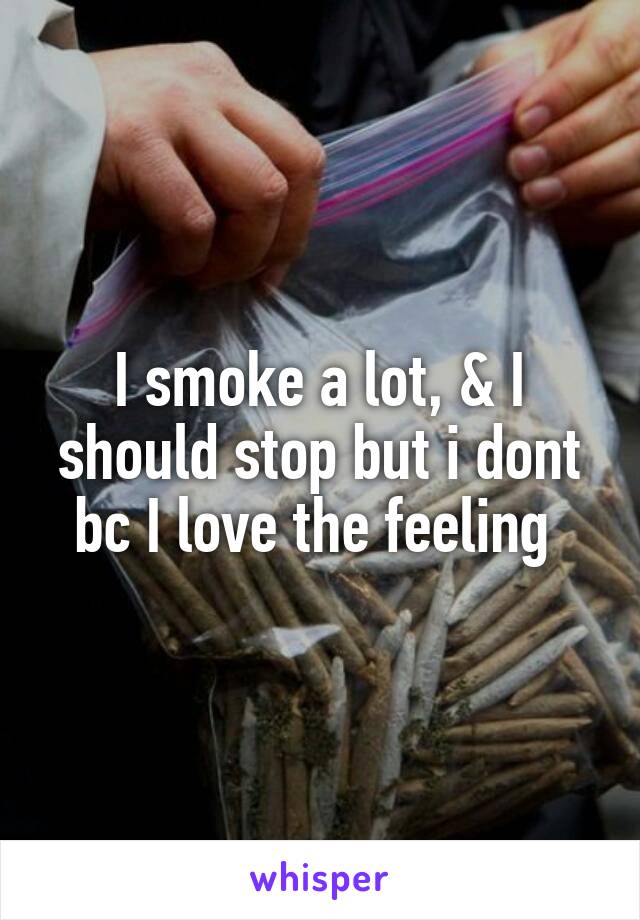 I smoke a lot, & I should stop but i dont bc I love the feeling 