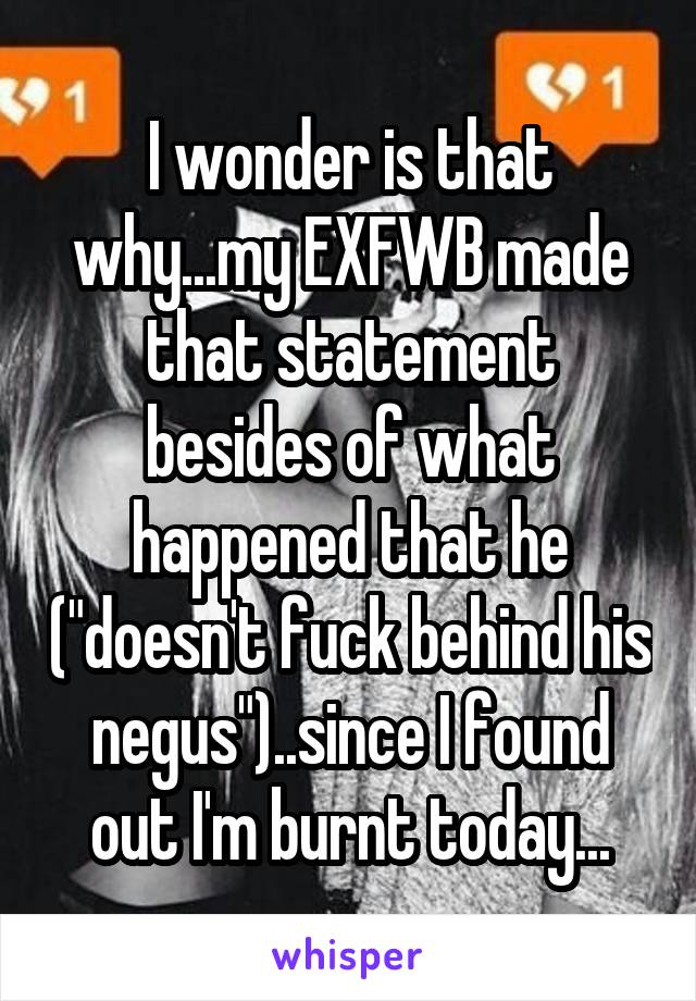 I wonder is that why...my EXFWB made that statement besides of what happened that he ("doesn't fuck behind his negus")..since I found out I'm burnt today...