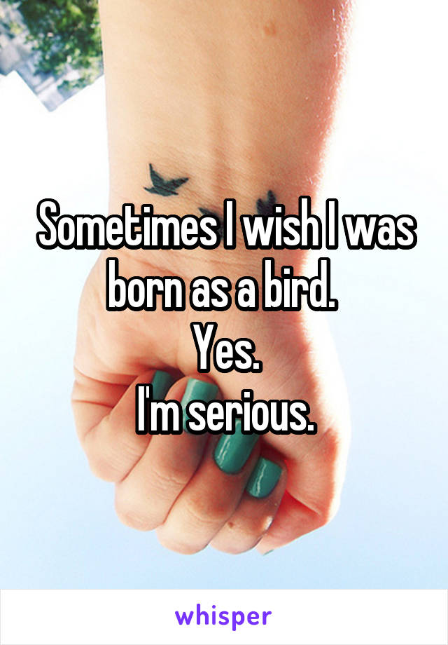 Sometimes I wish I was born as a bird. 
Yes.
I'm serious.