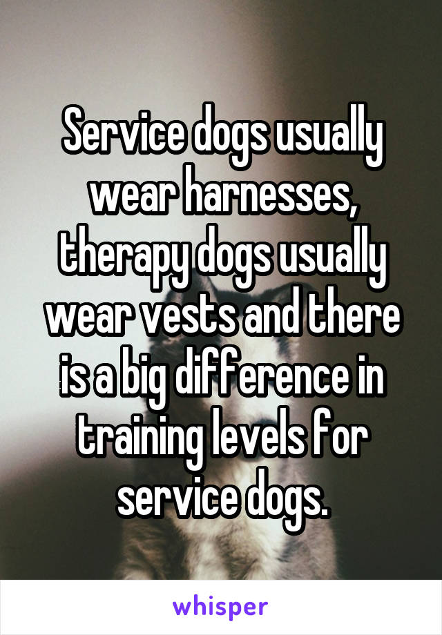 Service dogs usually wear harnesses, therapy dogs usually wear vests and there is a big difference in training levels for service dogs.