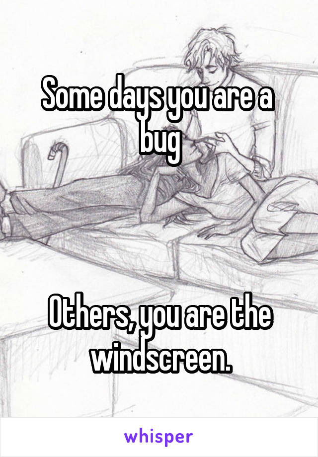 Some days you are a  bug



Others, you are the windscreen.