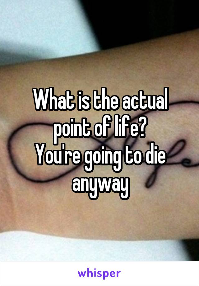 What is the actual point of life?
You're going to die anyway