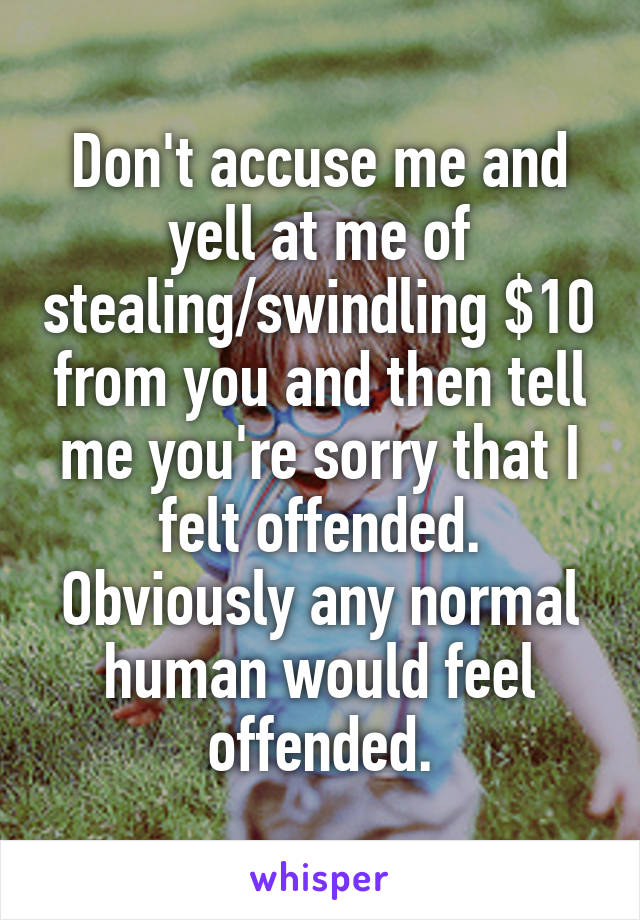 Don't accuse me and yell at me of stealing/swindling $10 from you and then tell me you're sorry that I felt offended. Obviously any normal human would feel offended.