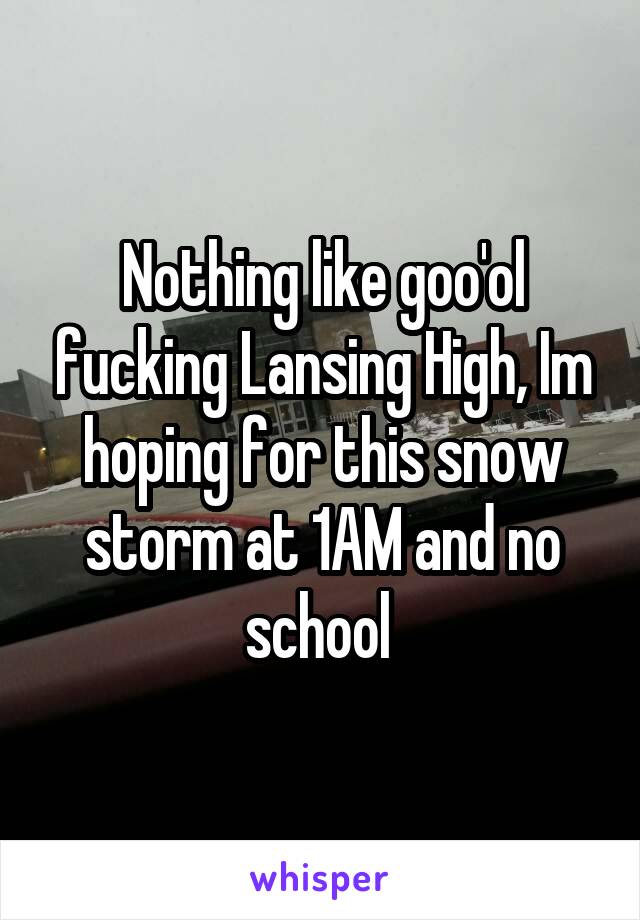 Nothing like goo'ol fucking Lansing High, Im hoping for this snow storm at 1AM and no school 