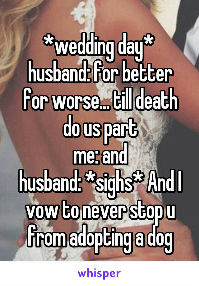 *wedding day* 
husband: for better for worse... till death do us part
me: and
husband: *sighs* And I vow to never stop u from adopting a dog