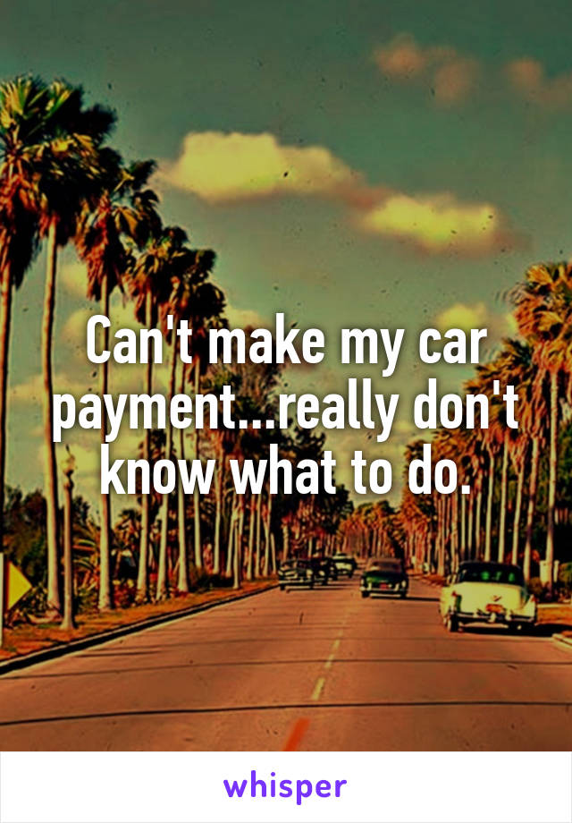 Can't make my car payment...really don't know what to do.