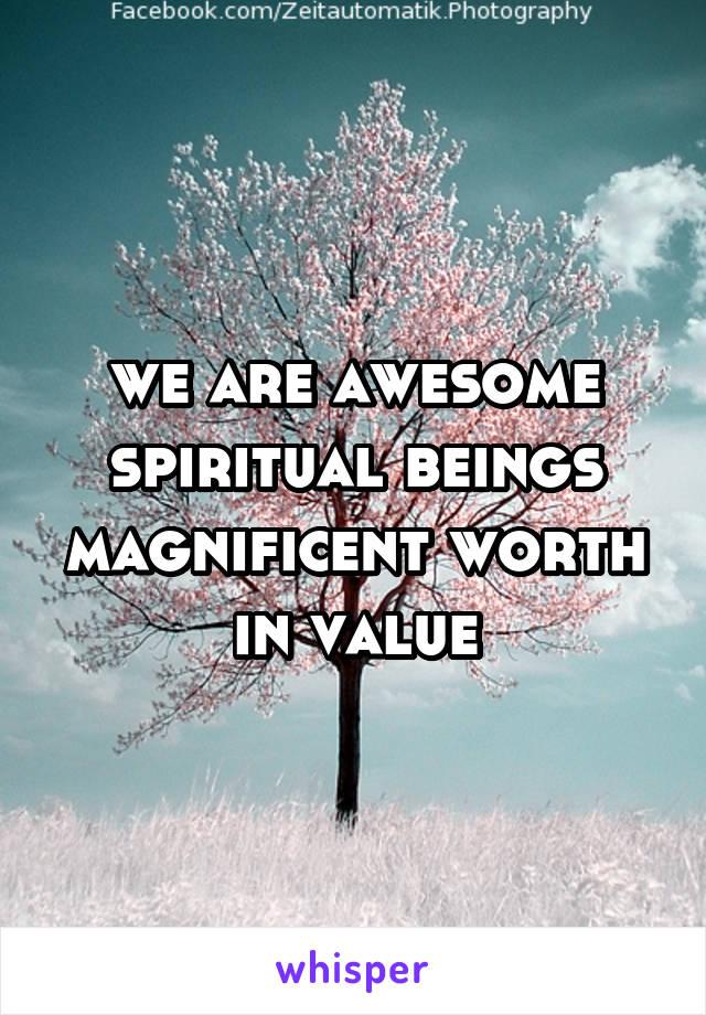 we are awesome spiritual beings magnificent worth in value