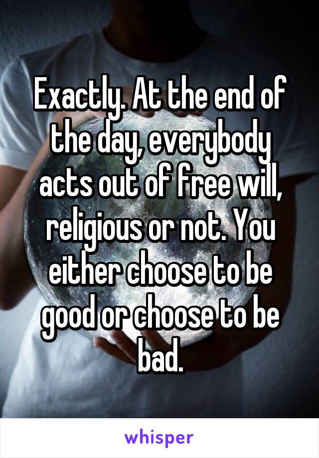 Exactly. At the end of the day, everybody acts out of free will, religious or not. You either choose to be good or choose to be bad.