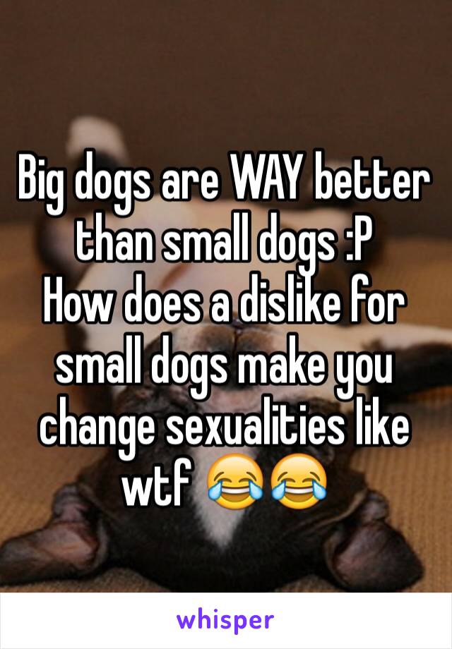 Big dogs are WAY better than small dogs :P
How does a dislike for small dogs make you change sexualities like wtf 😂😂