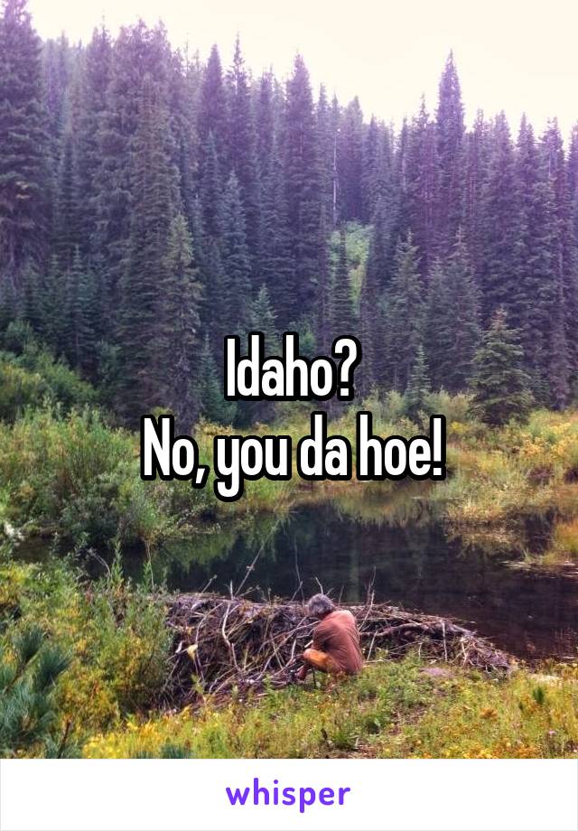 Idaho?
No, you da hoe!