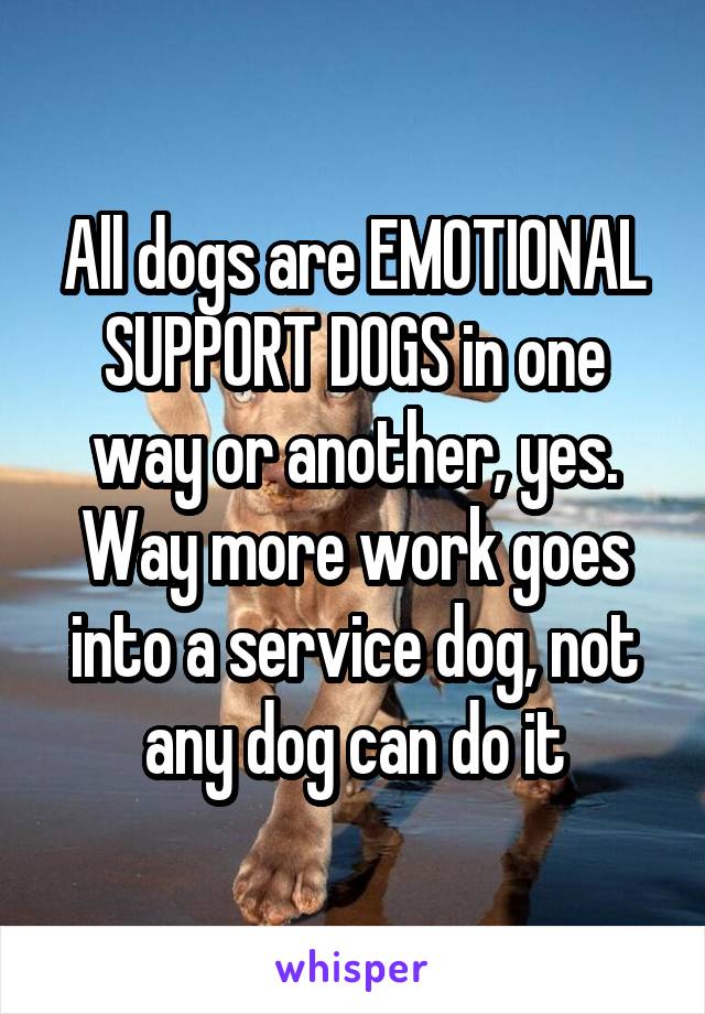 All dogs are EMOTIONAL SUPPORT DOGS in one way or another, yes. Way more work goes into a service dog, not any dog can do it