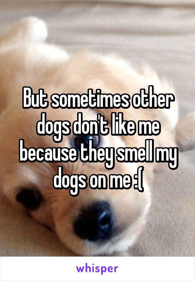 But sometimes other dogs don't like me because they smell my dogs on me :(