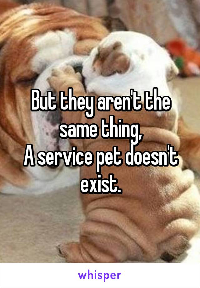 But they aren't the same thing,
A service pet doesn't exist.