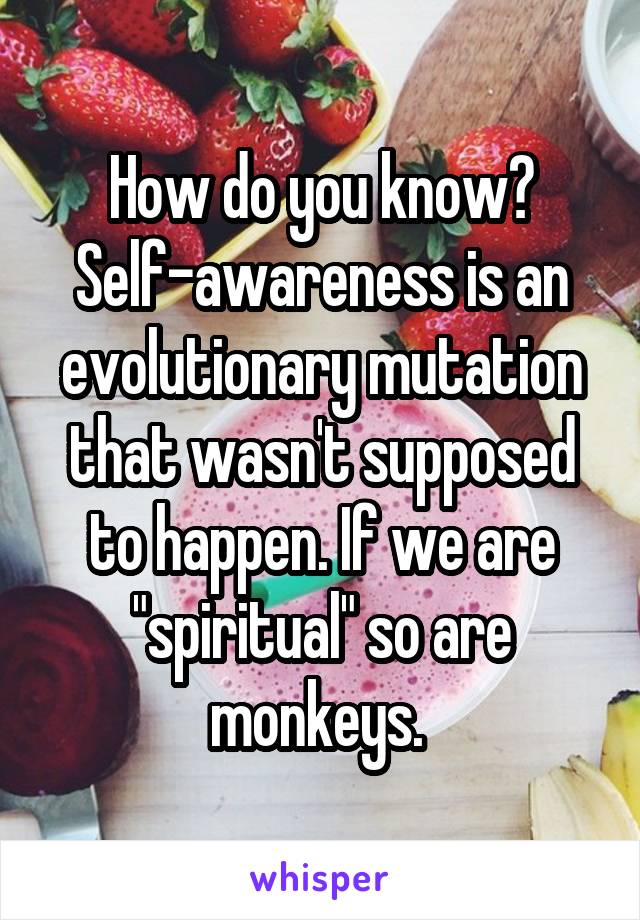 How do you know? Self-awareness is an evolutionary mutation that wasn't supposed to happen. If we are "spiritual" so are monkeys. 
