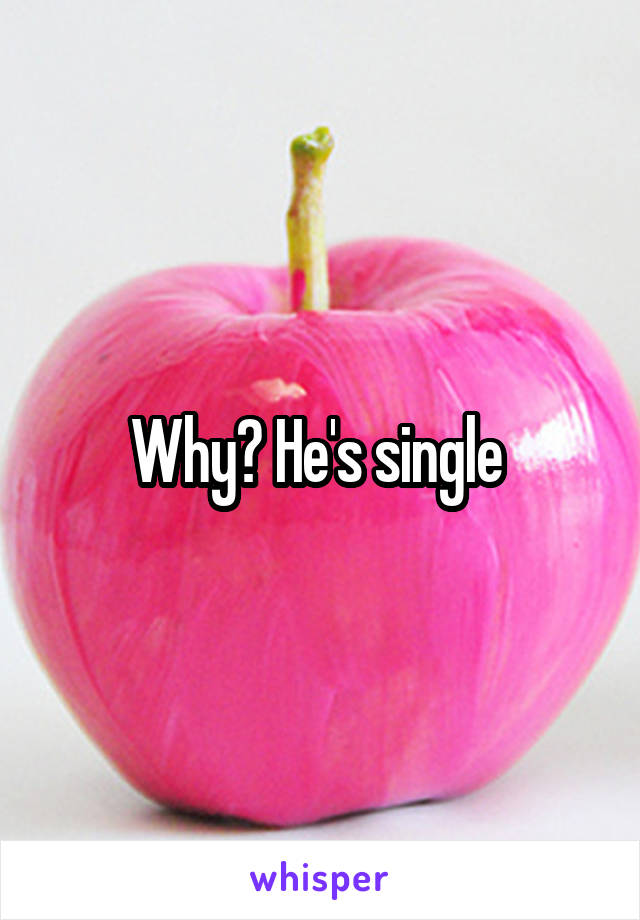 Why? He's single 