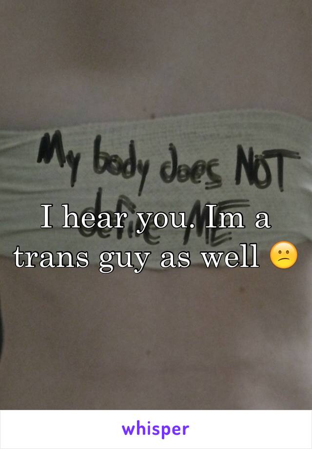 I hear you. Im a trans guy as well 😕