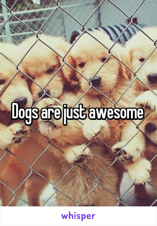 Dogs are just awesome 