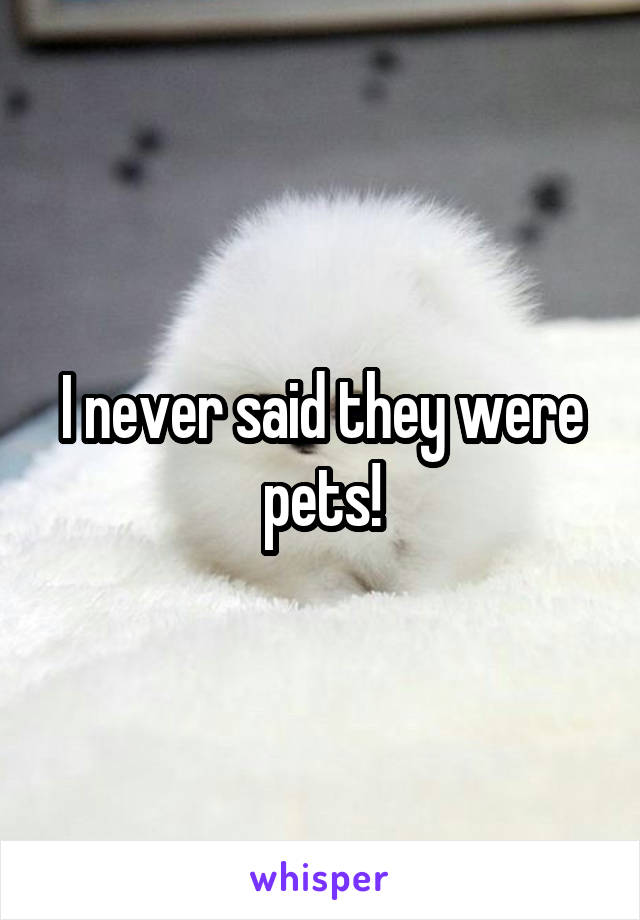 I never said they were pets!