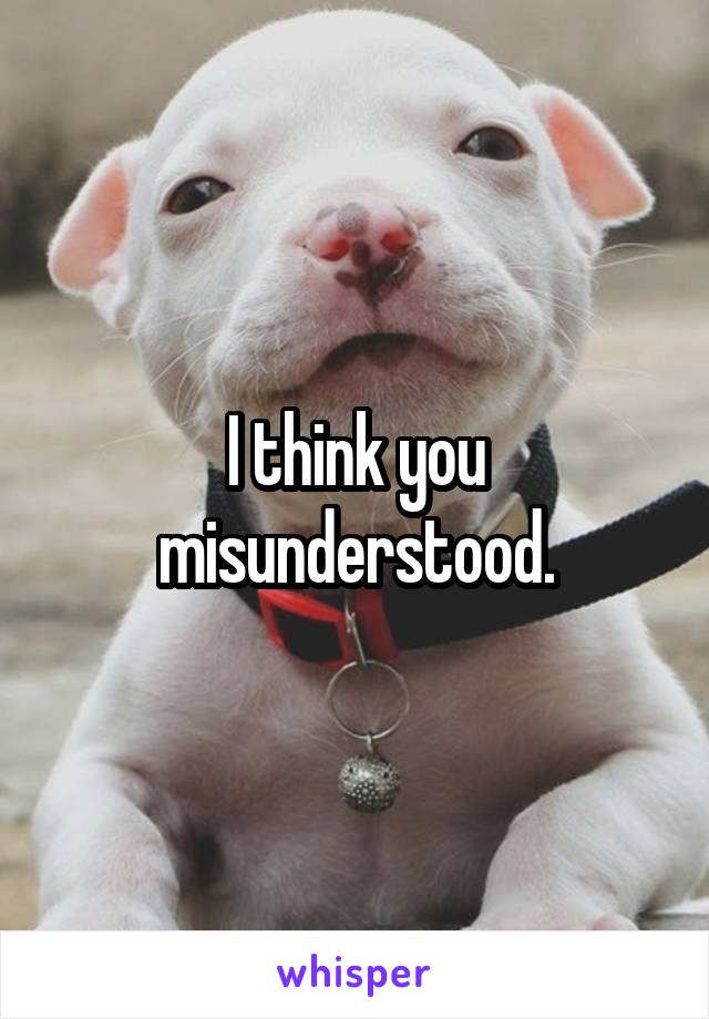 I think you misunderstood.