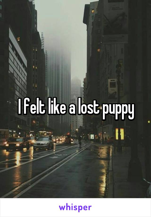 I felt like a lost puppy